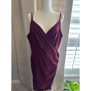BOG2 Free Grace Karin Ruch Wine Dress 2XL NWT